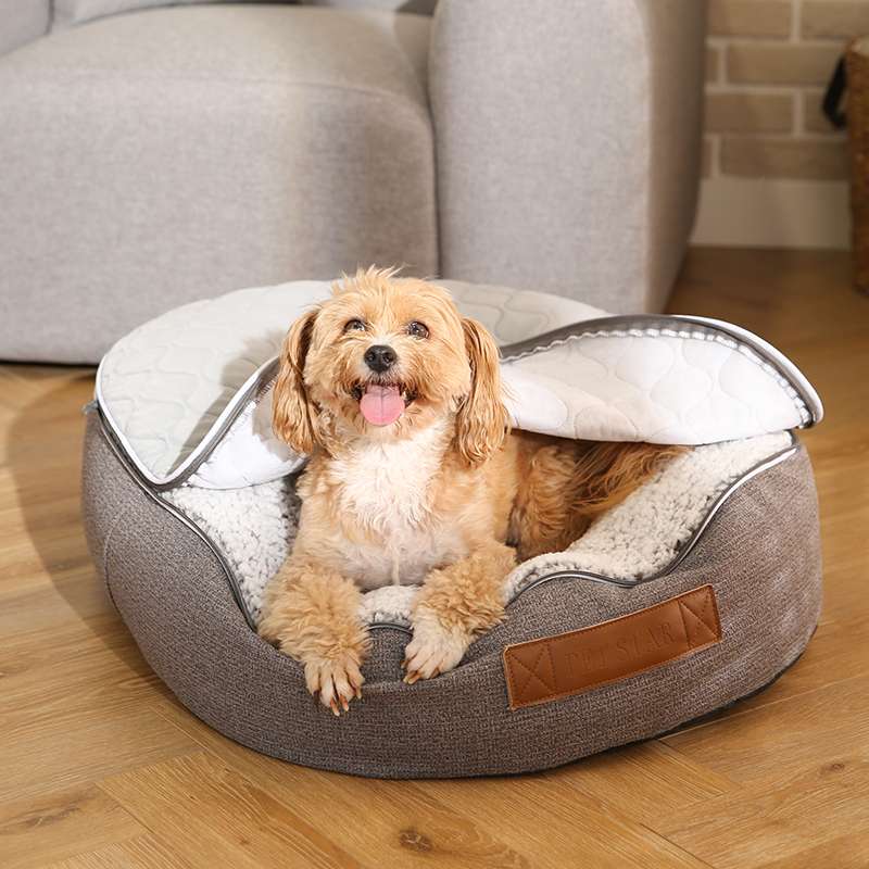 cooling dogs bed