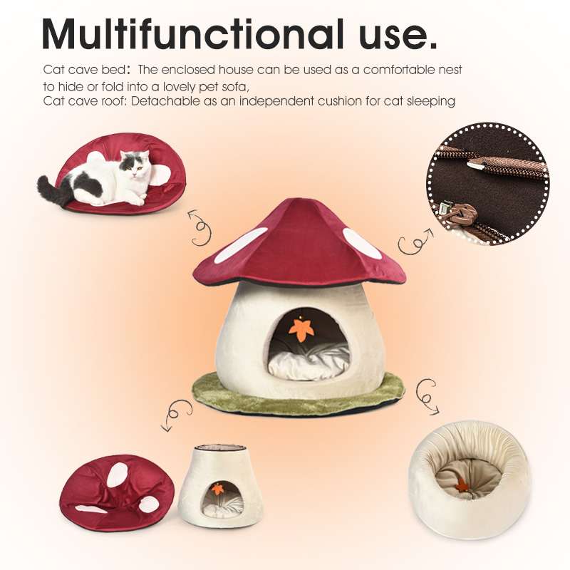 mushroom cats cave