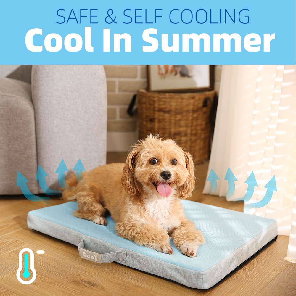 summer dog bed