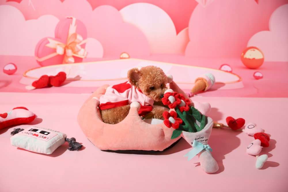 wholesale crown shaped pet bed