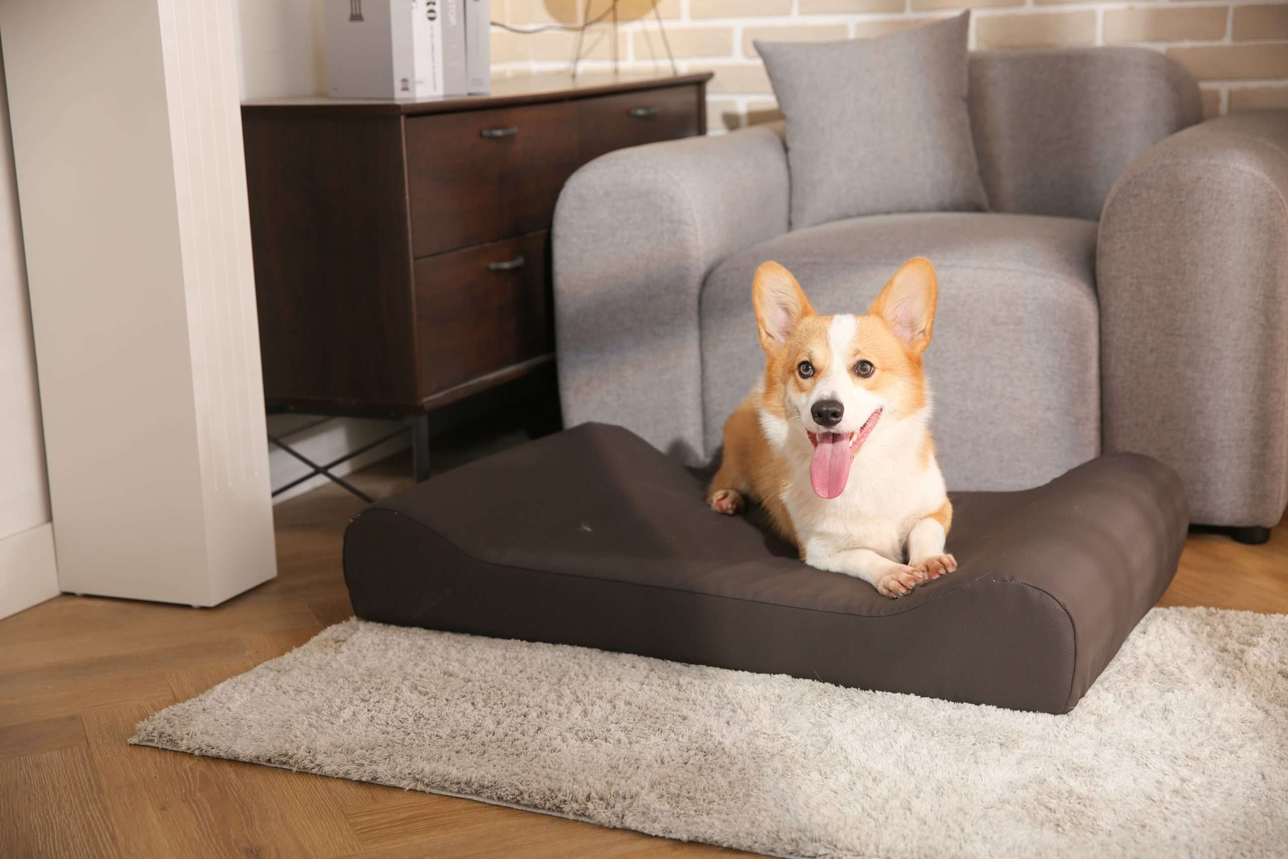 Environmentally Friendly Dog Bed