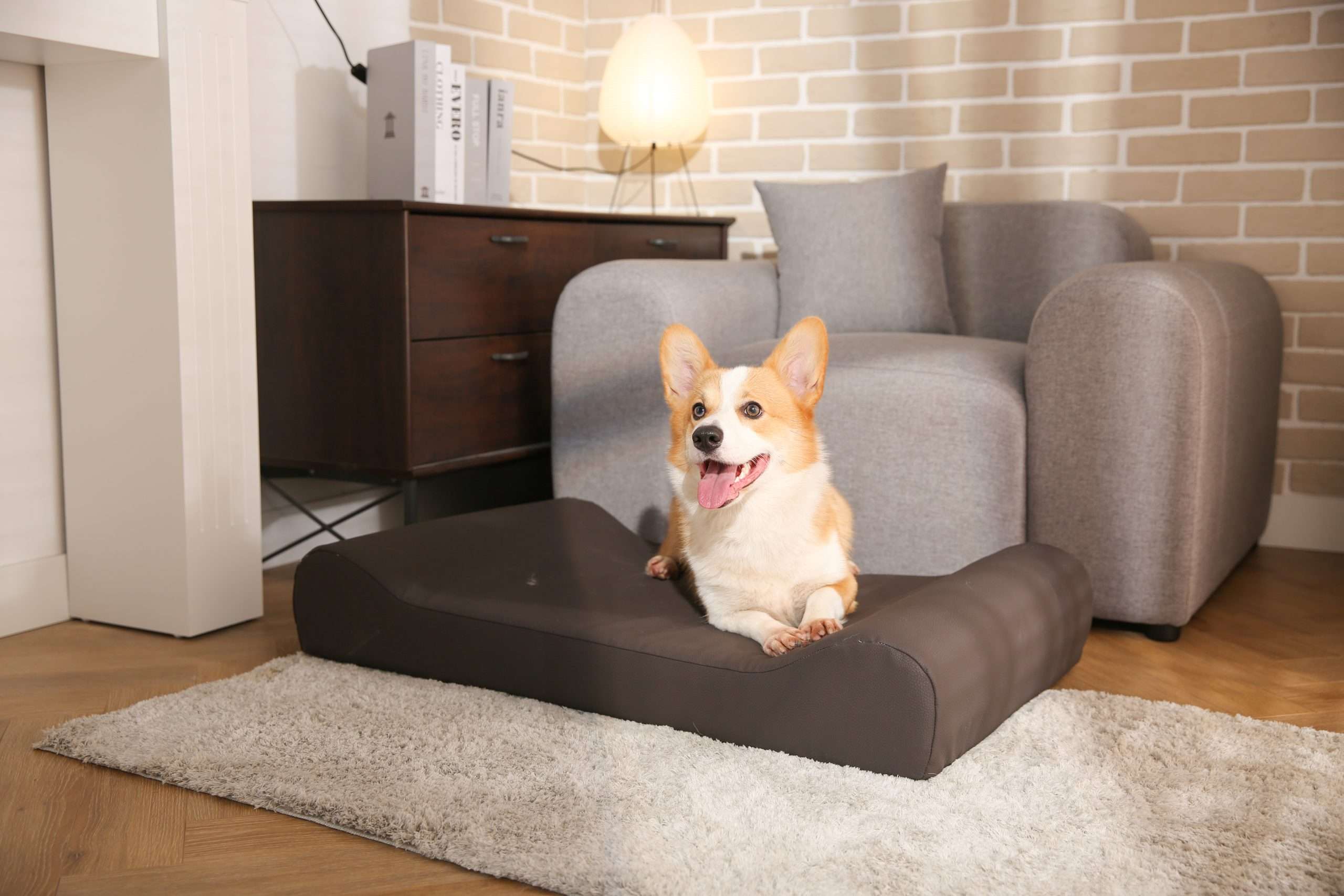 bite proof beds for dogs