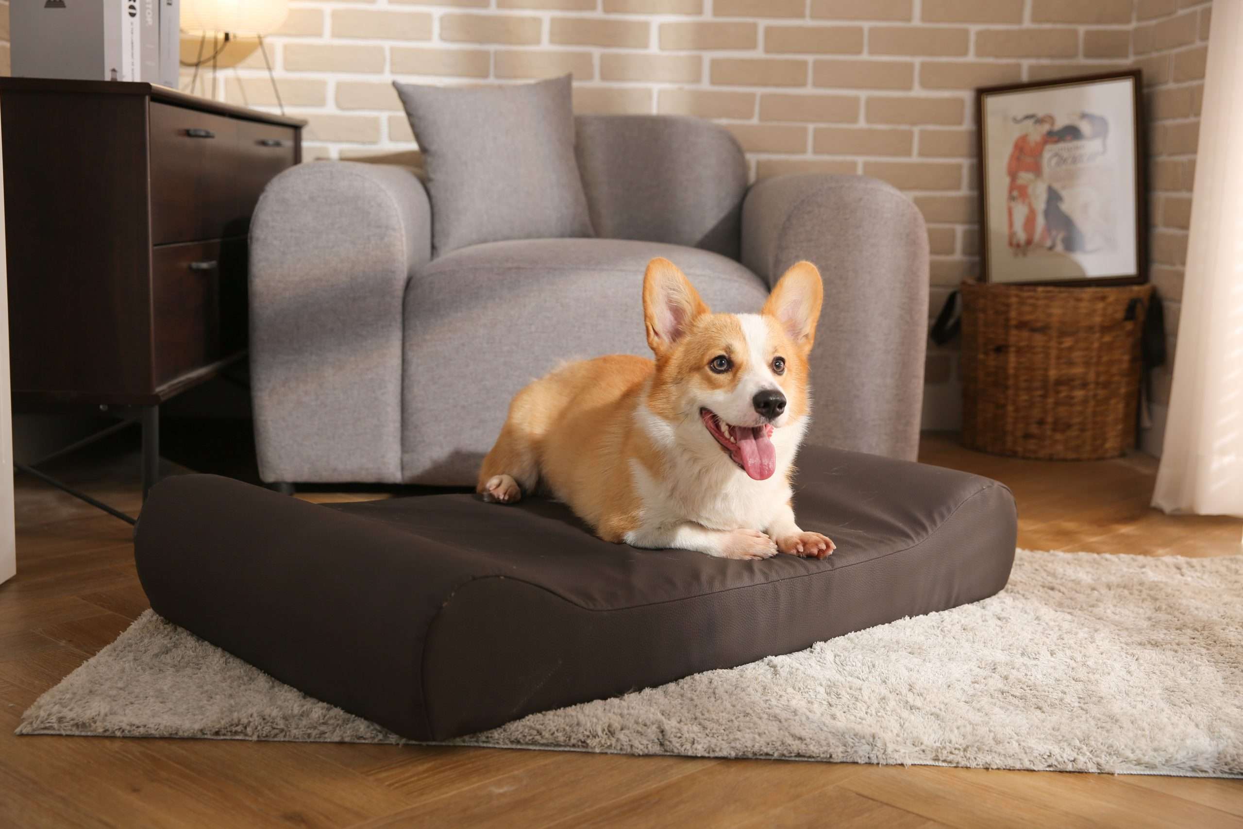 bite proof pet bed