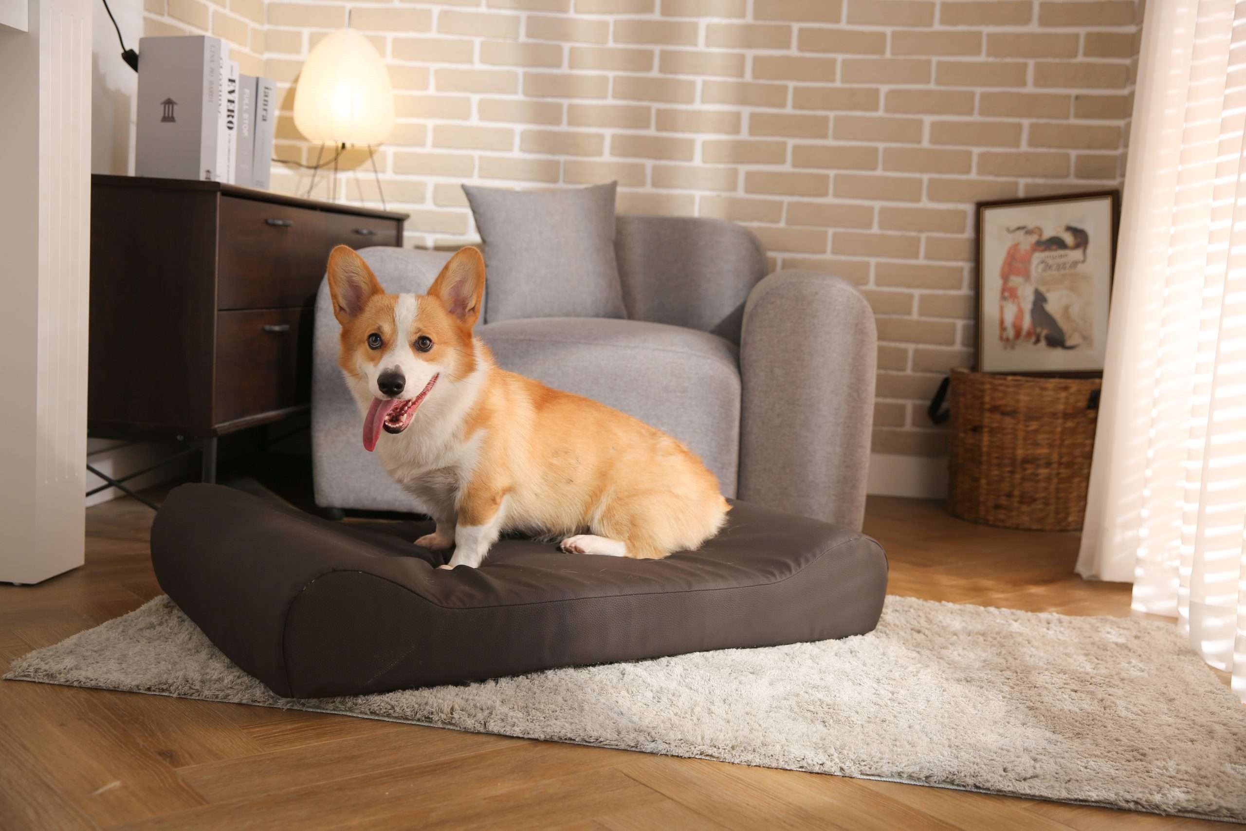 dog bite proof bed