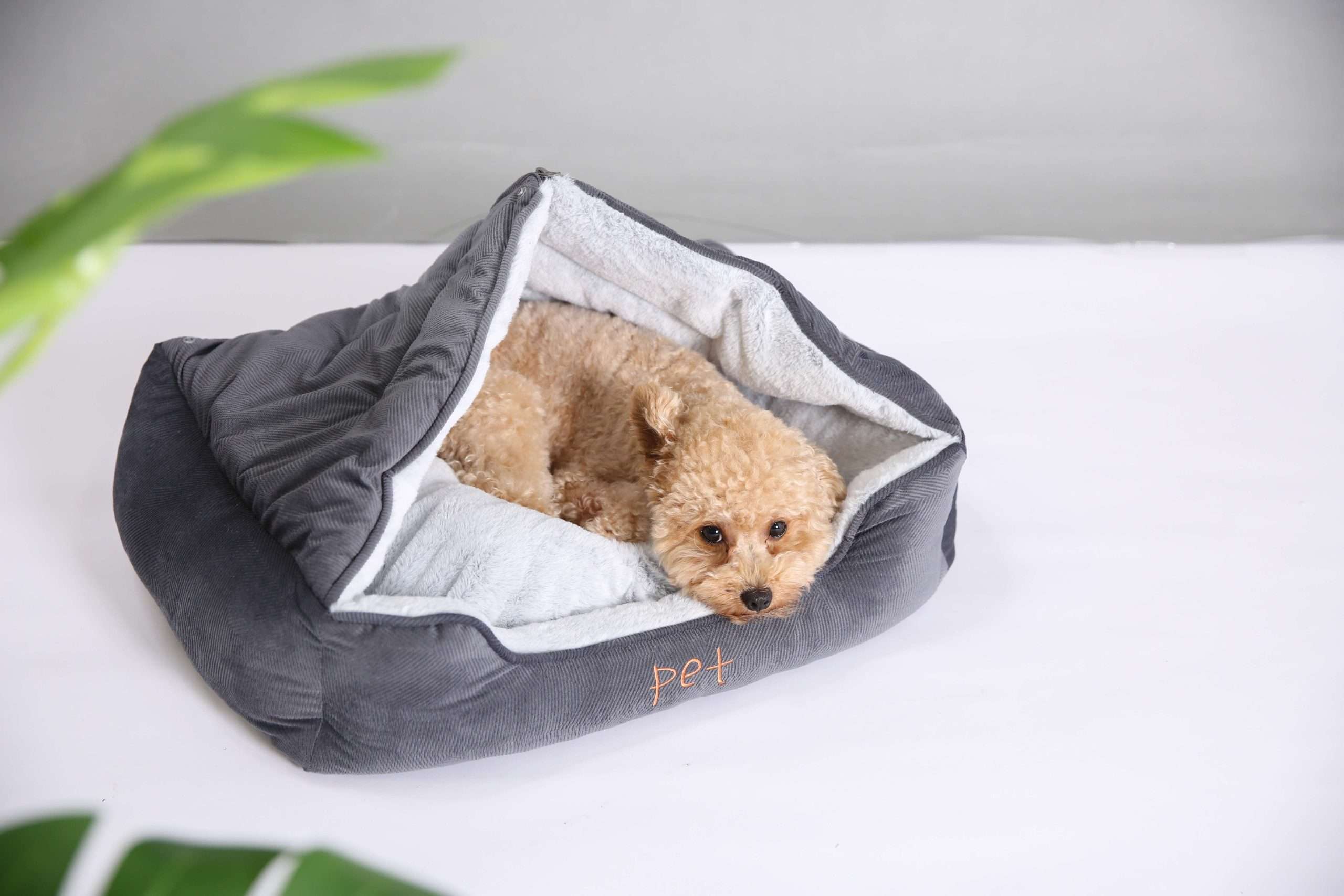 2 in 1 hooded dog bed