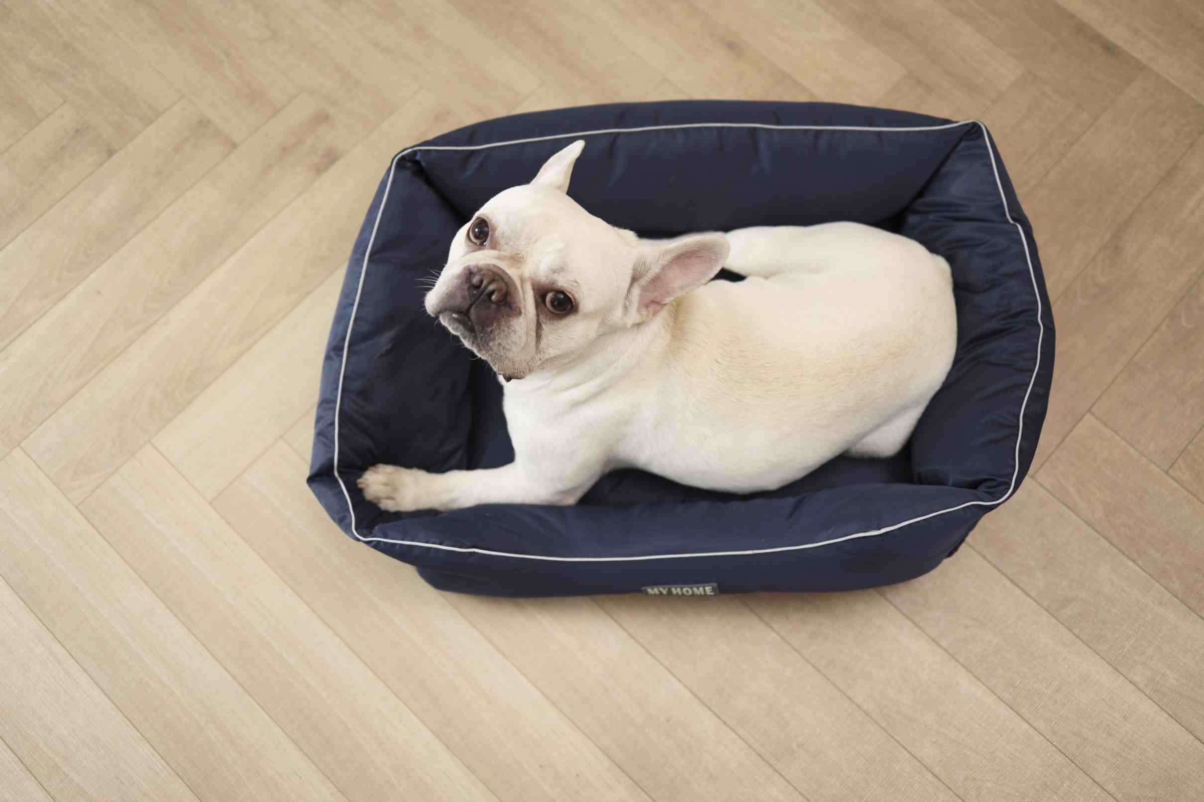 Anti-Static Cozy Dog Bed