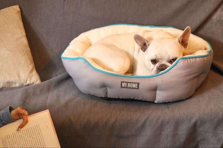 Anti-static Dog Bed