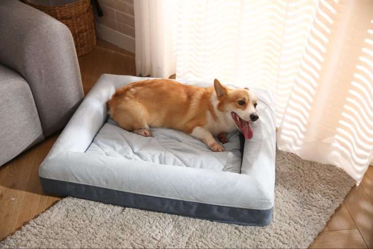 Antibacterial Dog Bed