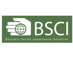 BSCI