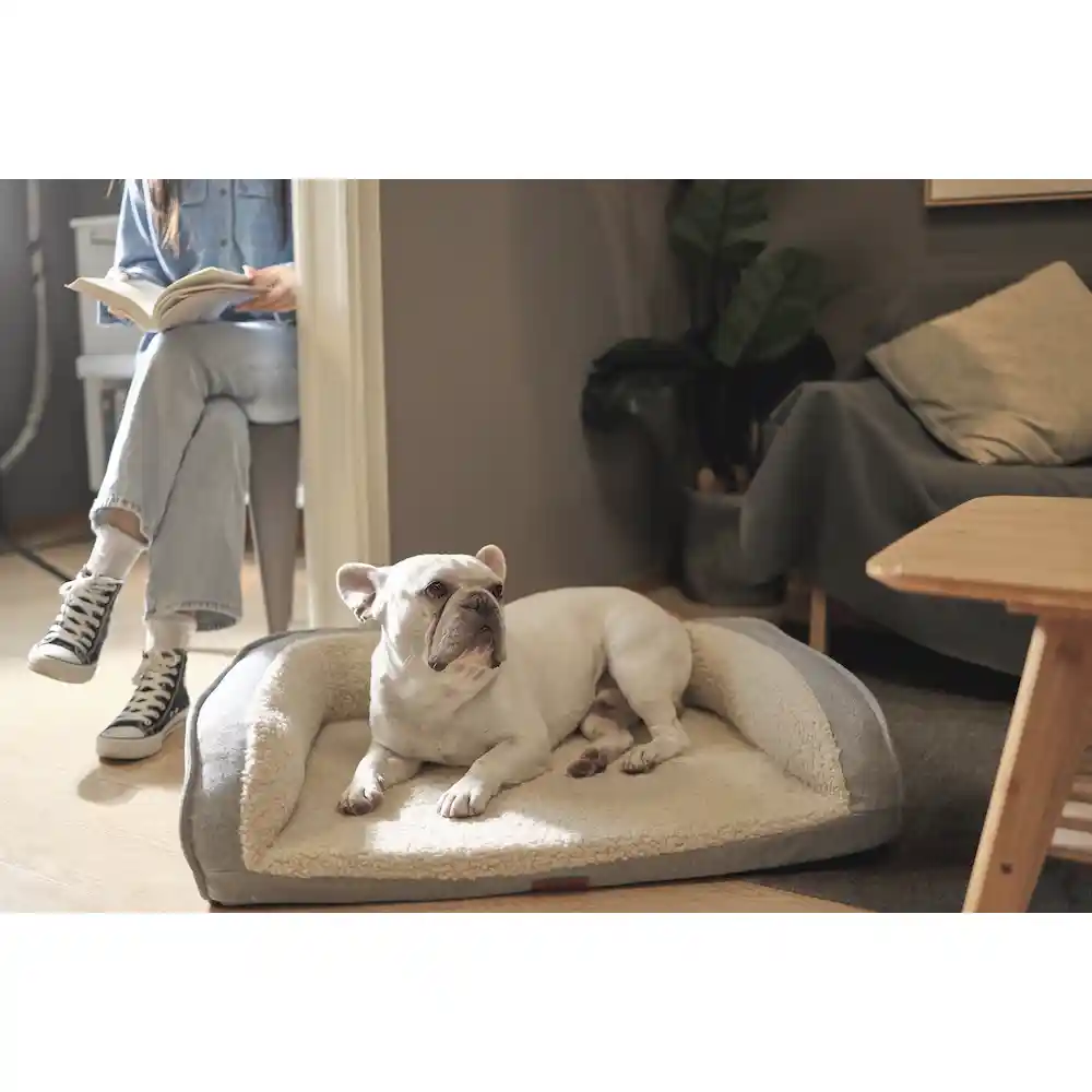 Best Indoor Dog Bed in Bulk