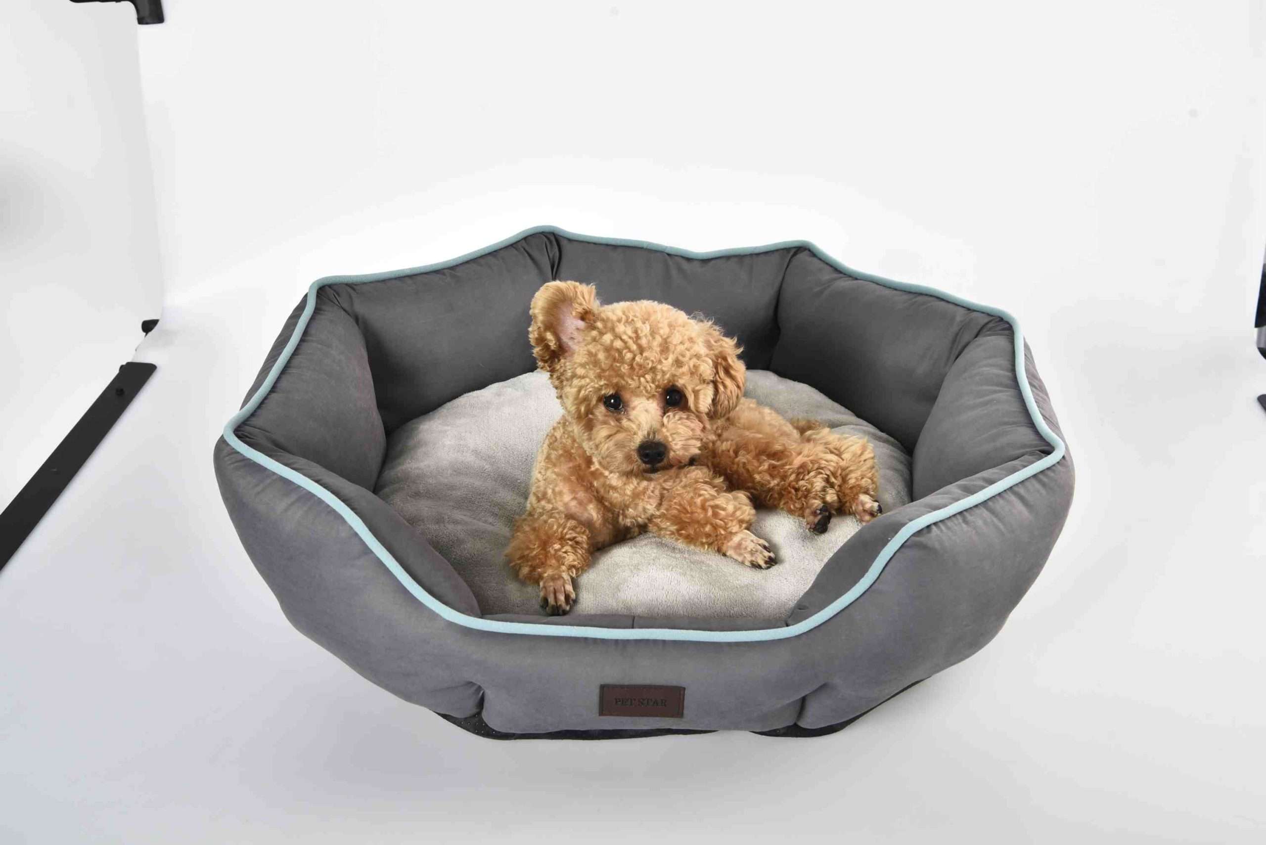 Cozy Pet Dog Bed