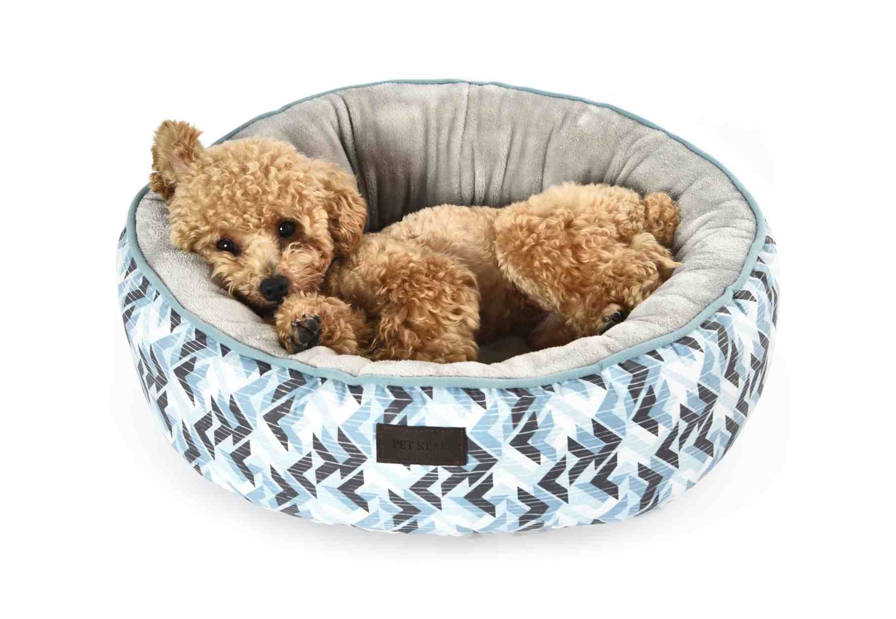 Cozy Pet Dog Beds