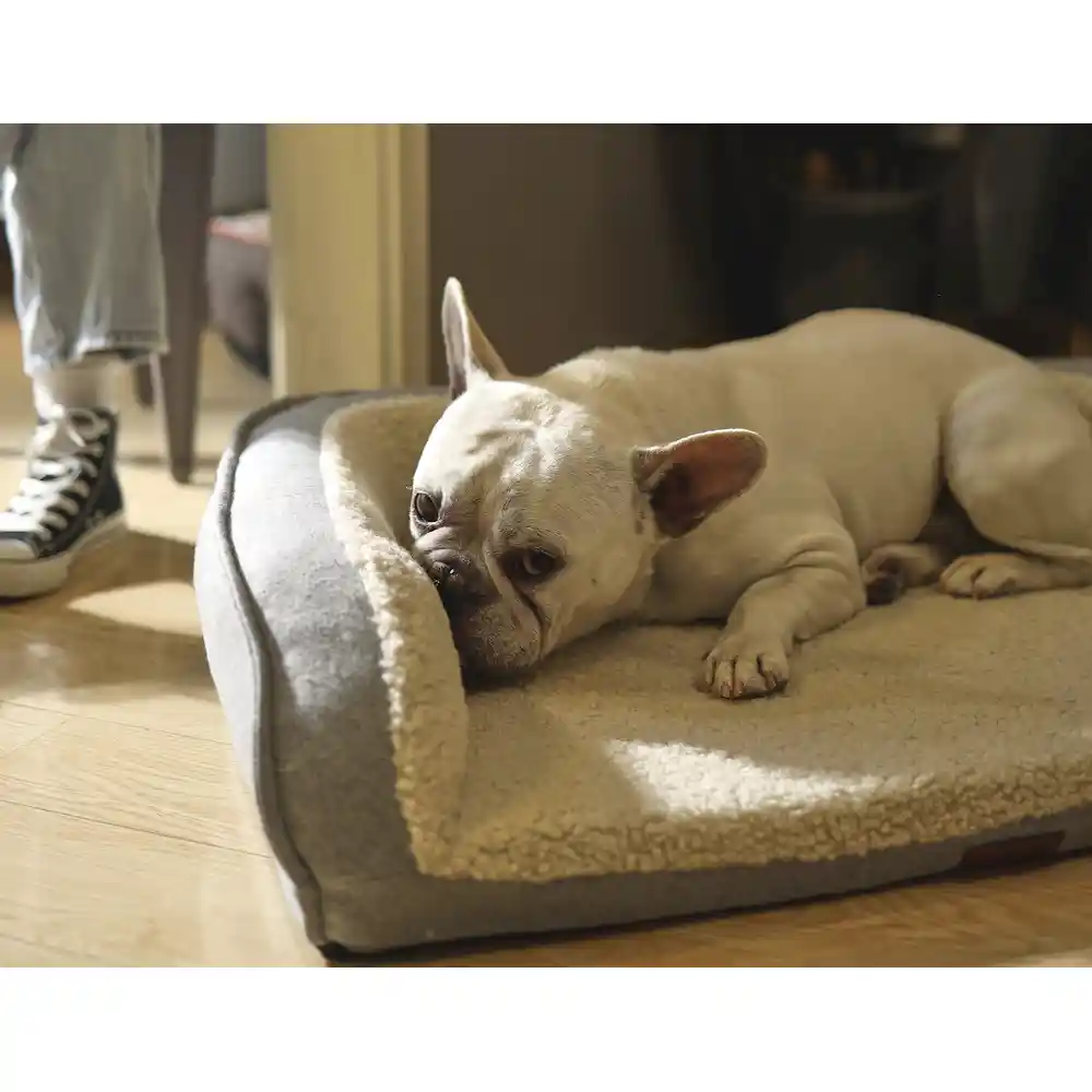 Dog Bed Large Supplier