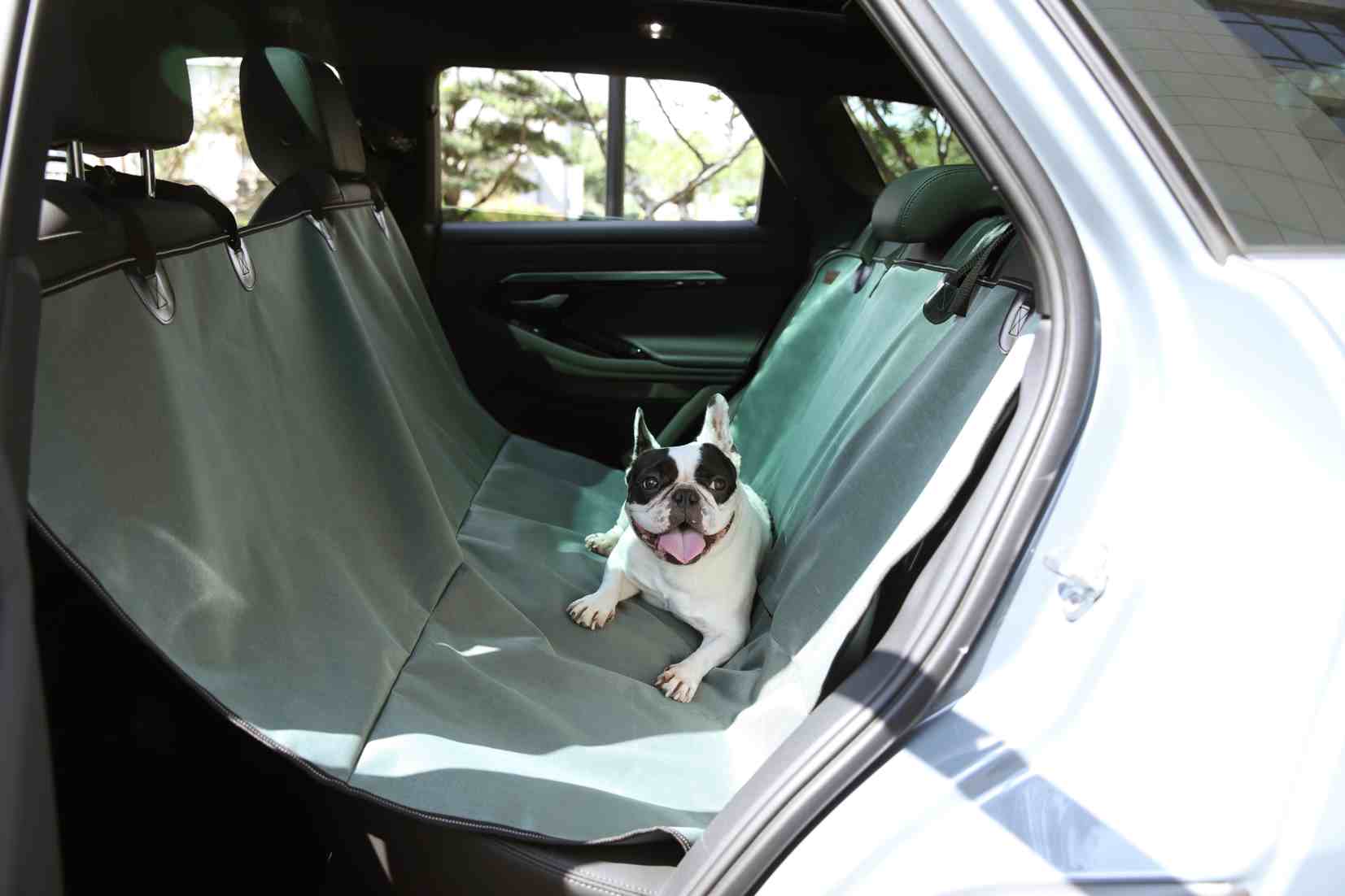 Dog Car Cover
