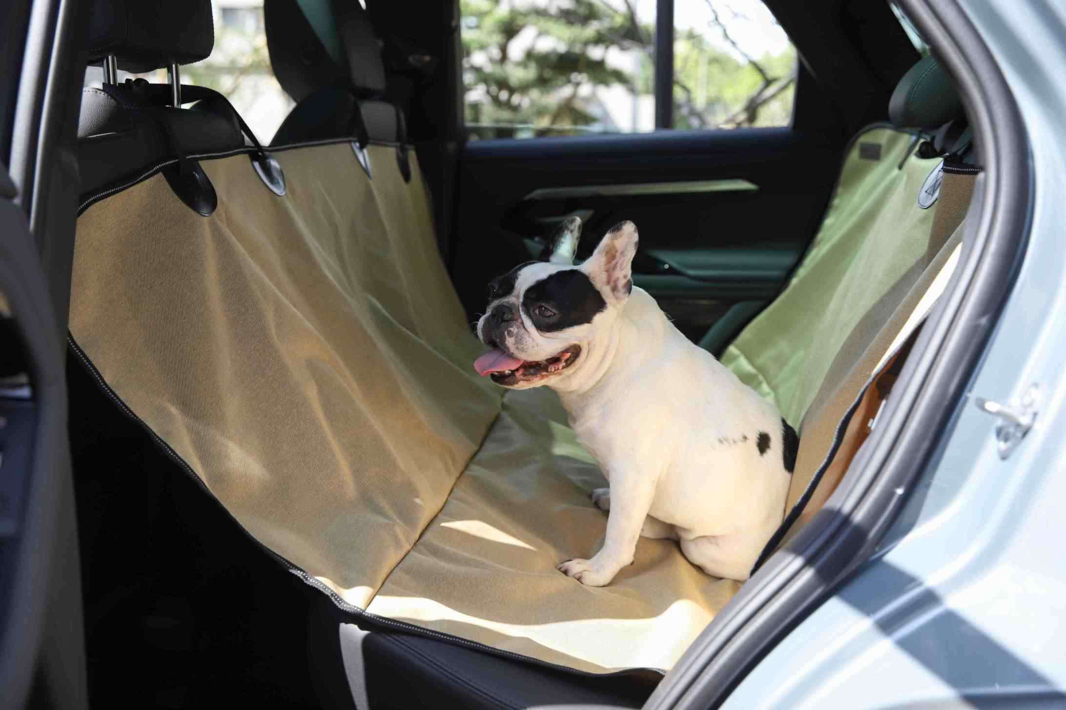 Dog Car Mat
