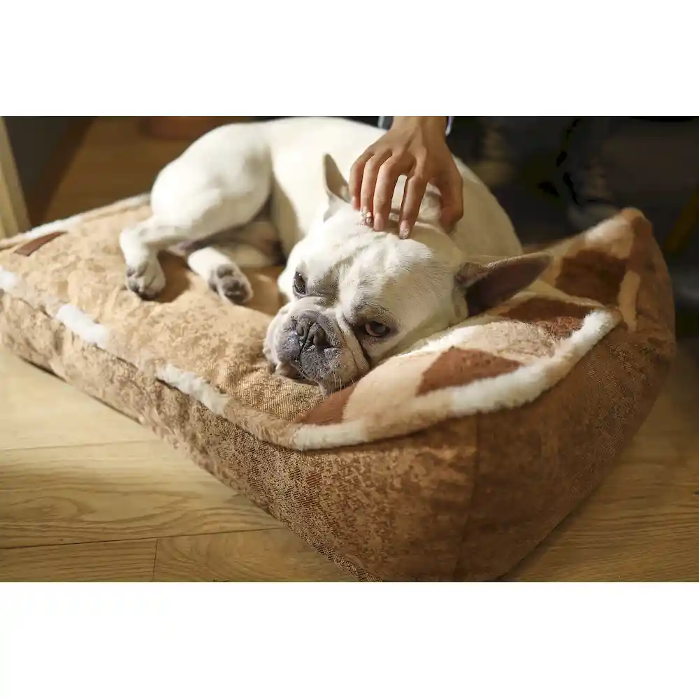 Fábrica de camas macias para cães
