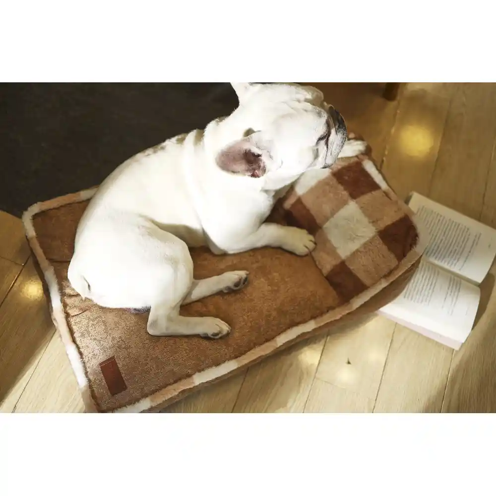 Fornecedor de camas macias para cães