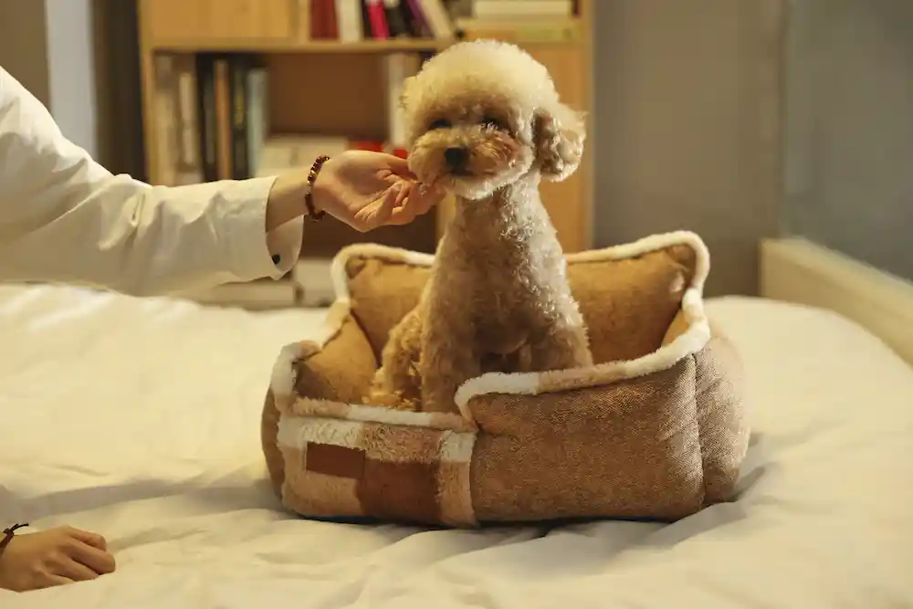 Faux Fur Pet Beds OEM