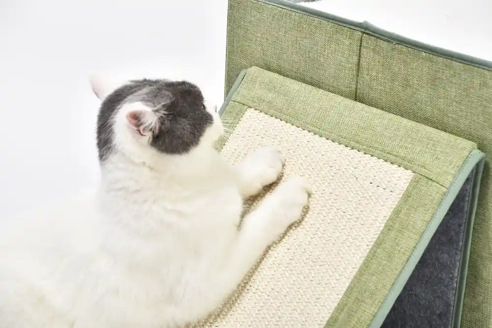 Foldable Cat Cave Supplier