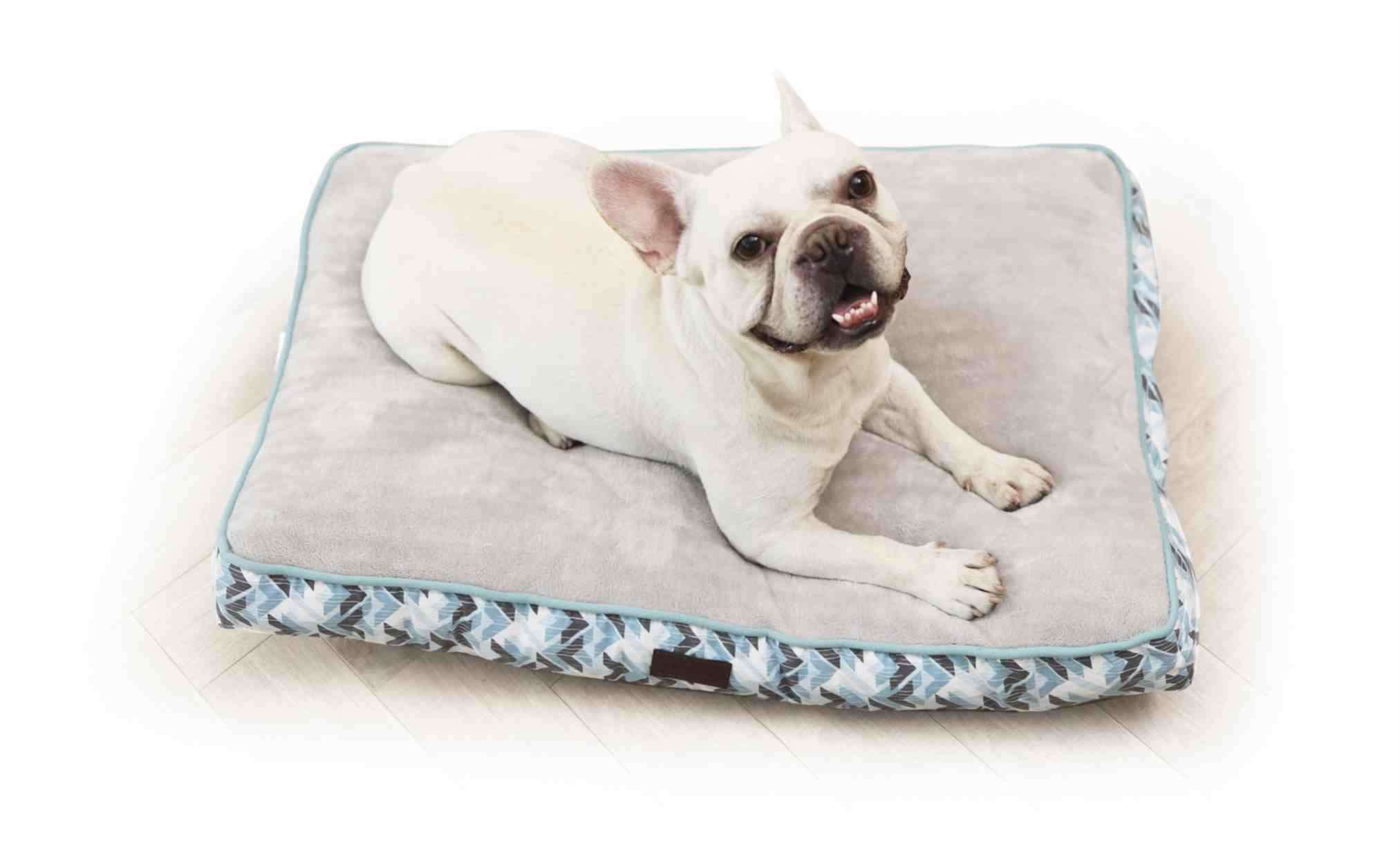 Almohada grande Perro