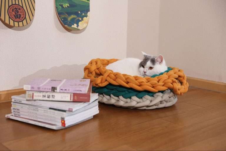Nest Dog Bed