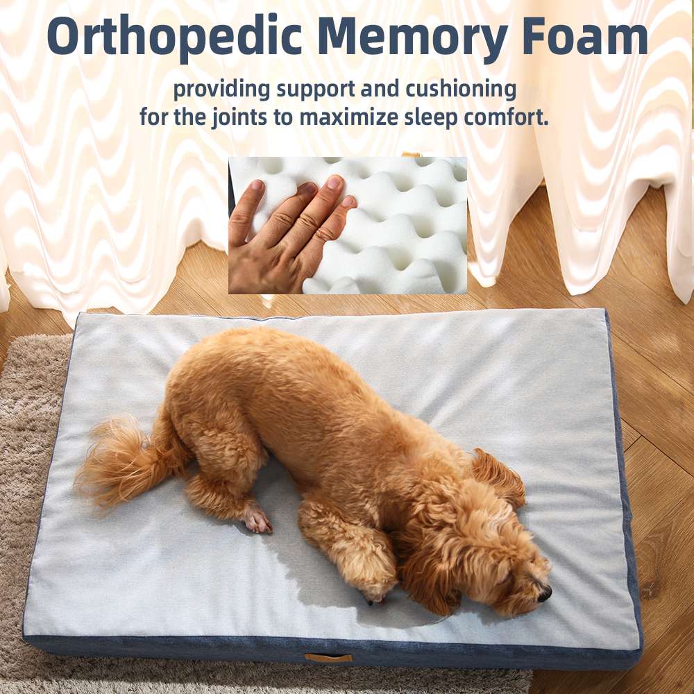 New antibacterial pet beds