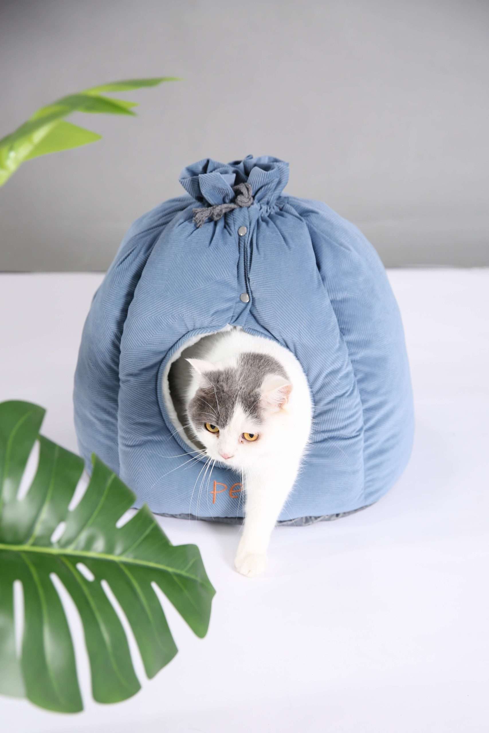 New 2 in 1 cat cave