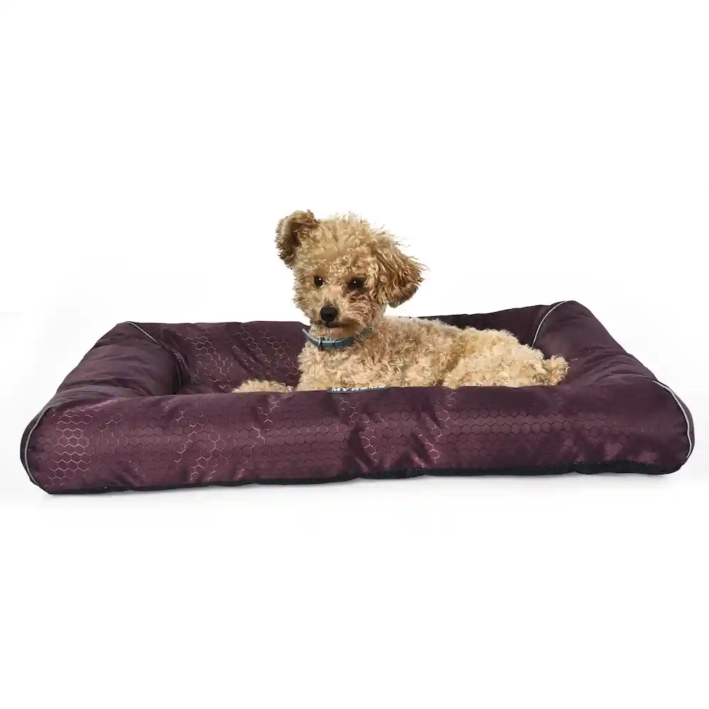 Pee Proof Pet Bed Factory