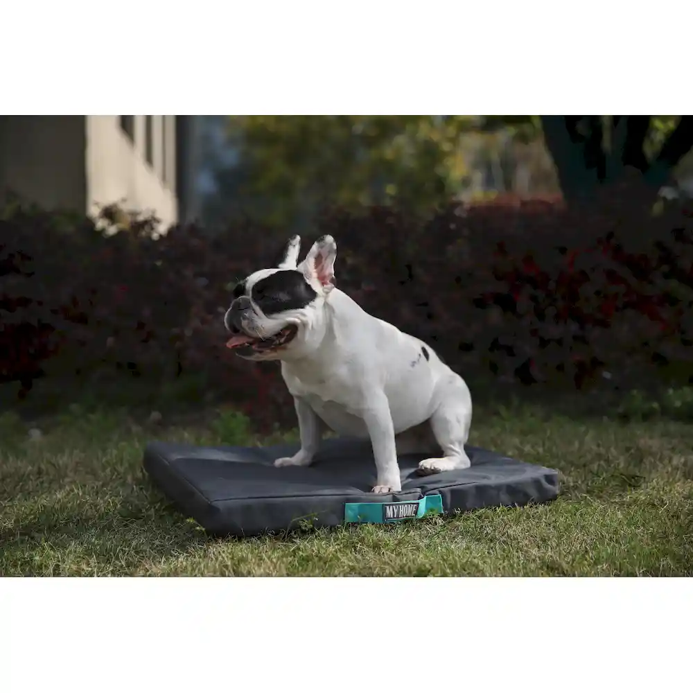 Pet Bed With Cover ODM