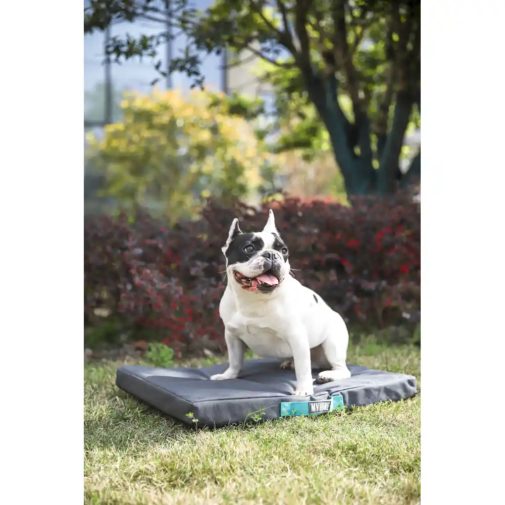 Pet Bed With Cover in Bulk