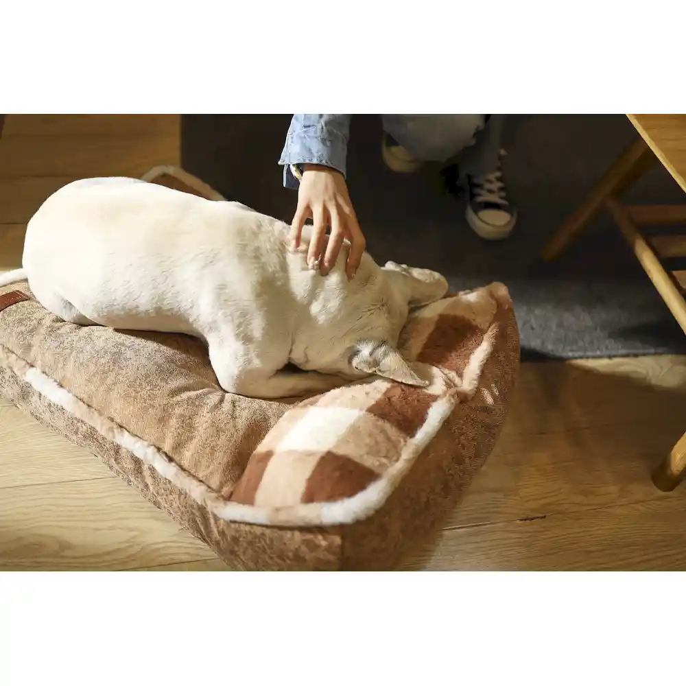 Knuffelbed Leverancier