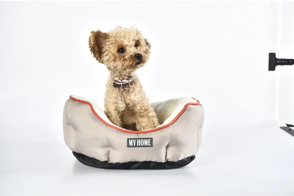 Pet Hair Resistant Dog Beds