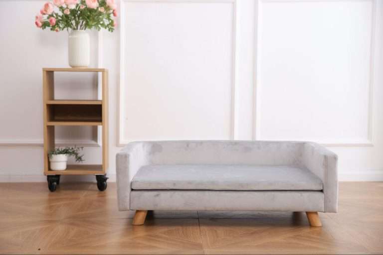Pet Sofa Manufacturer