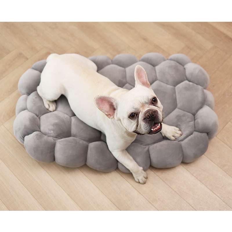 Pillow Modern Luxury Dog Beds