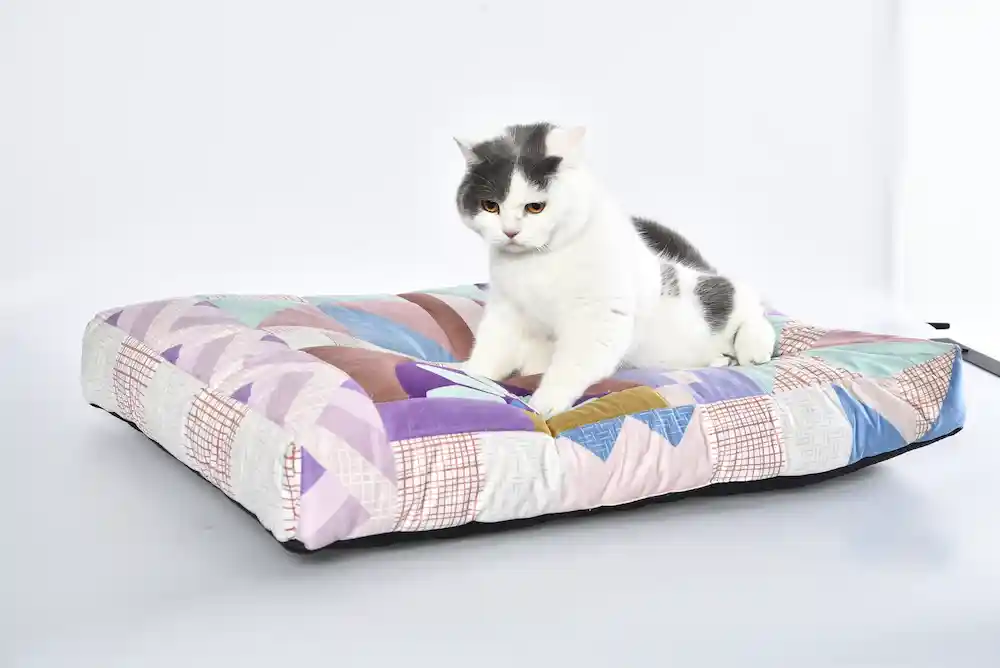 Soft Pet Mat Factory