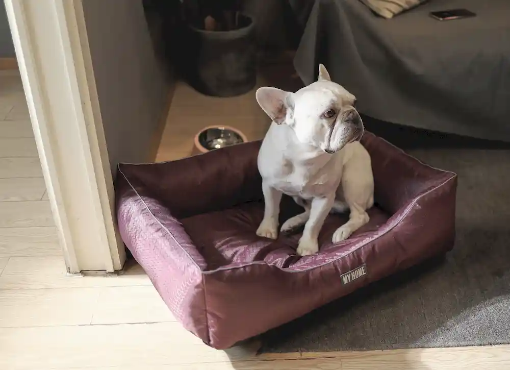 Waterproof Dog Beds ODM