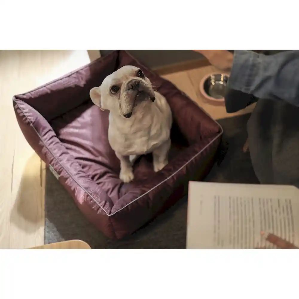 Waterproof Dog Beds in Bulk