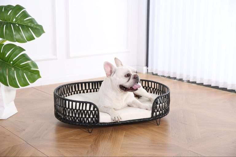Wooden Dog Bed