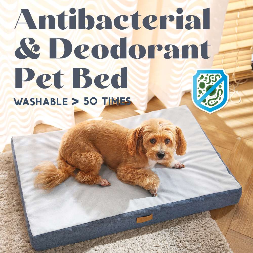 antibacterial orthopedic pet beds