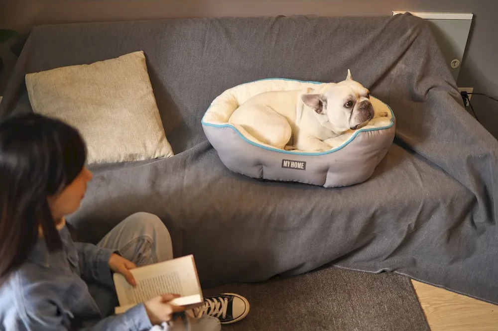 antistatic dog bed