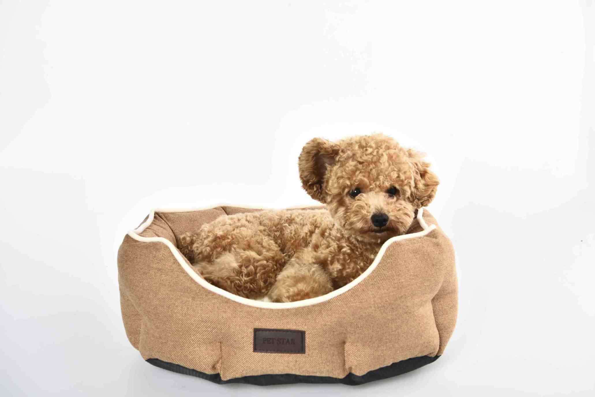 best Bolster Dog Beds