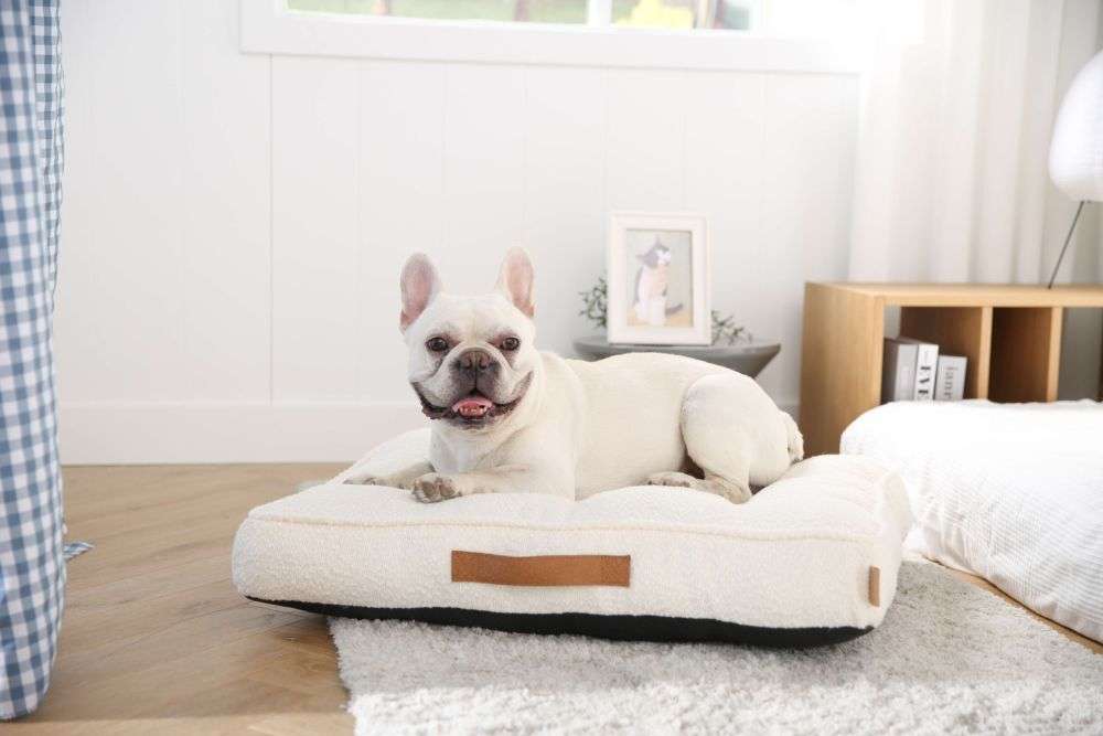 copertura per cani in bouclè di lusso