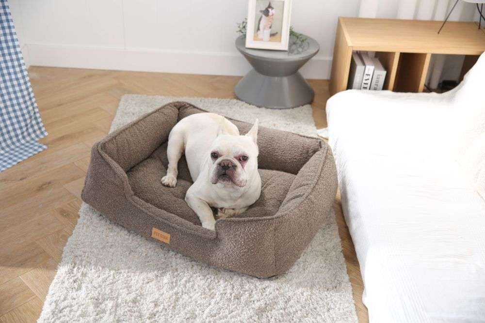 boucle dogs beds