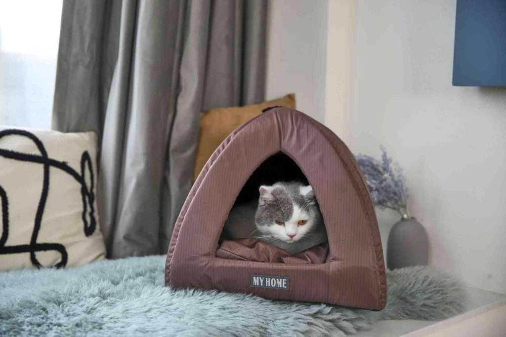 cat cave beds
