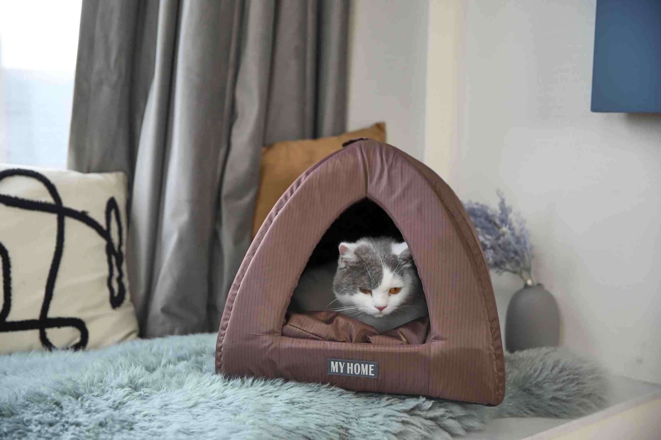 cat cave beds