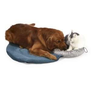 cat cushion bed