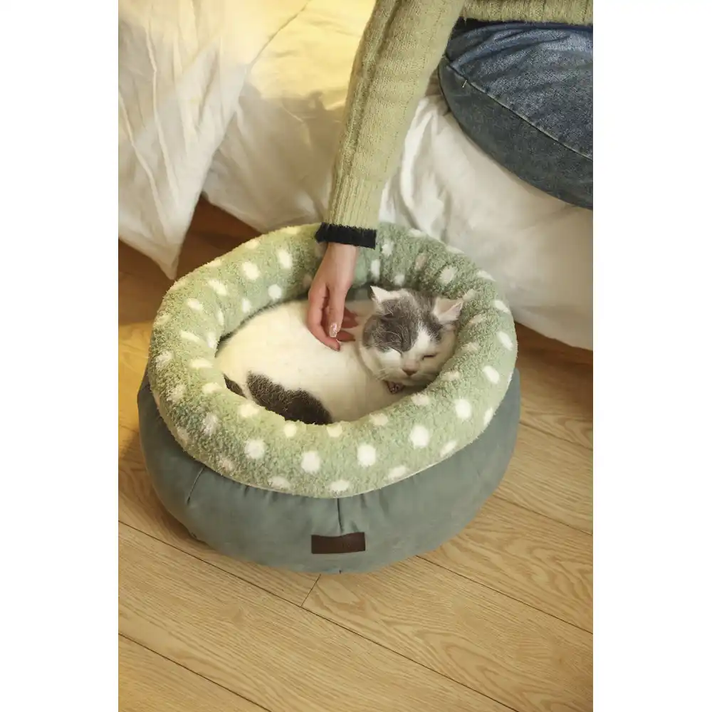cat round bed