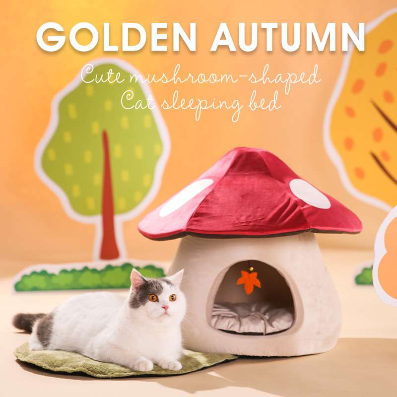 cats cave beds house