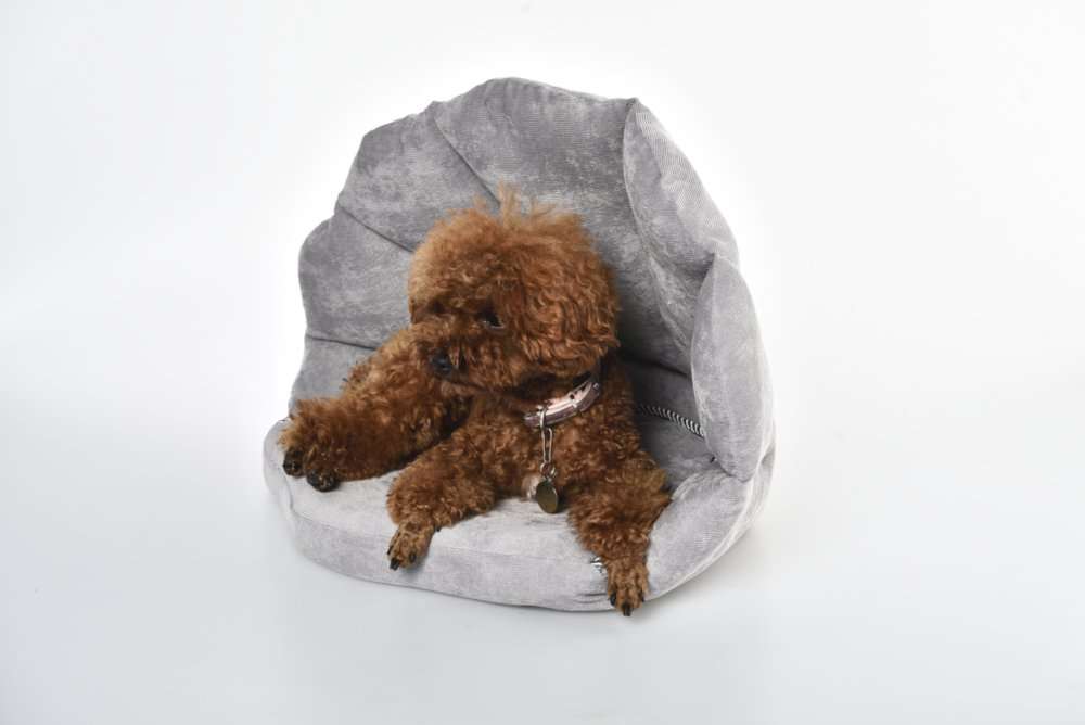 cave for cat