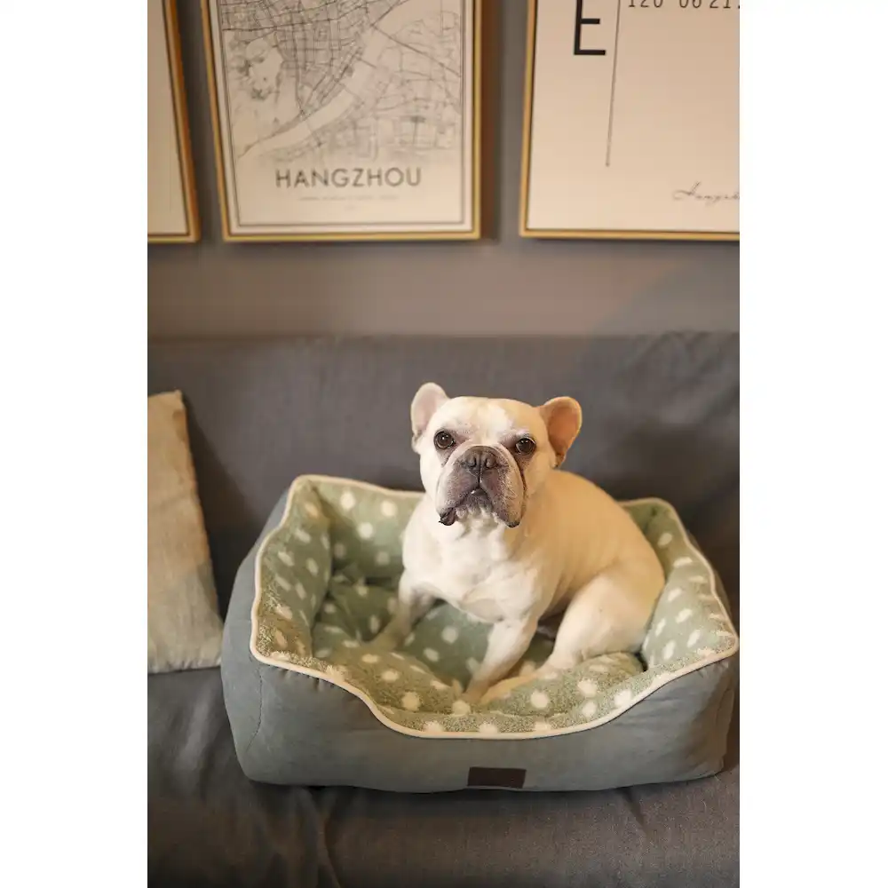 cheap cat beds for sale in bulk